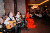Flamenco night (11)