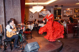 Flamenco night (13)