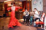 Flamenco night (7)