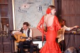 Flamenco night (9)